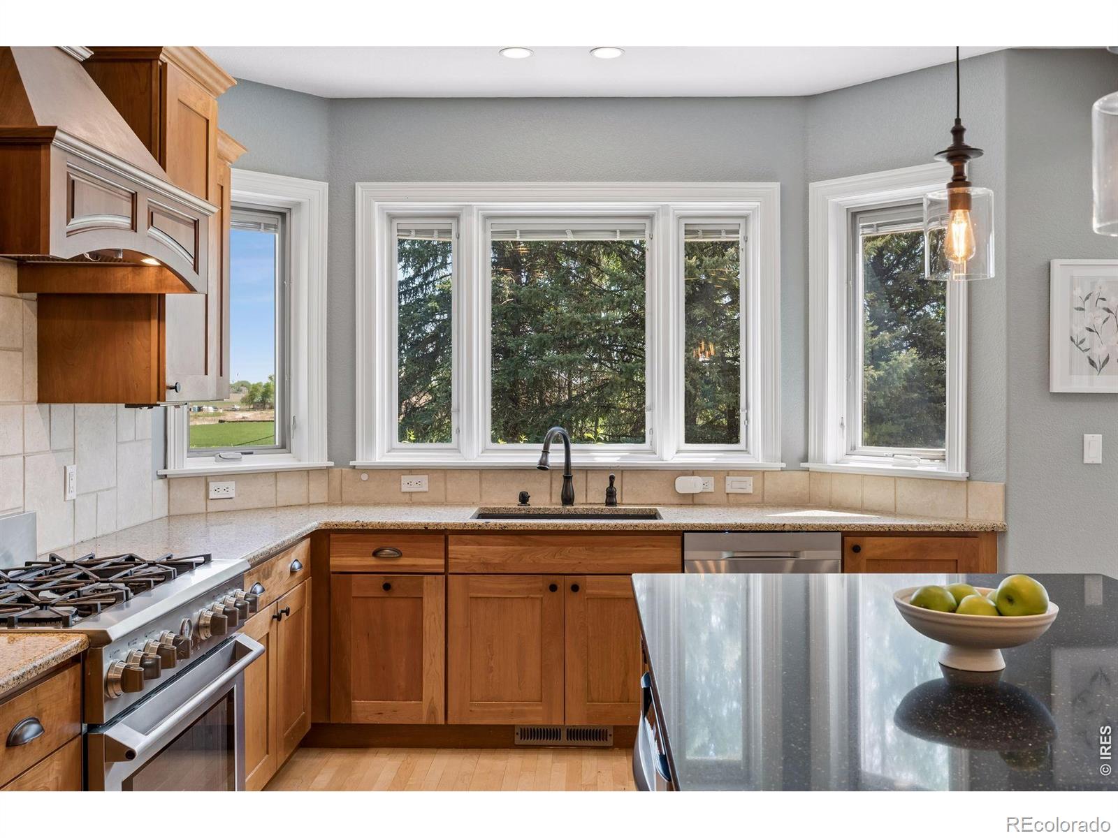 7273 Spring Creek Circle Niwot CO 80503