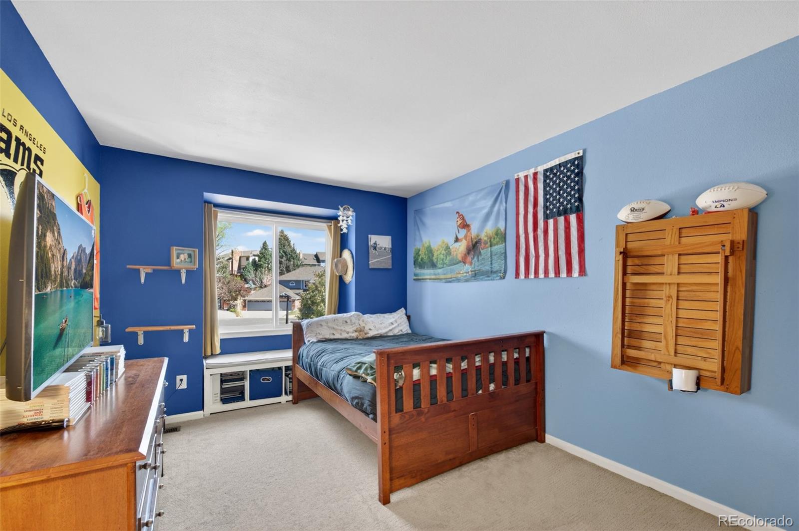 132 Willowleaf Drive Littleton CO 80127