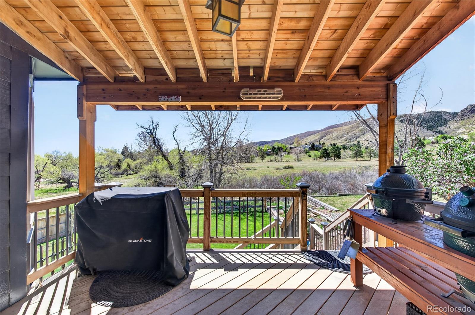 132 Willowleaf Drive Littleton CO 80127