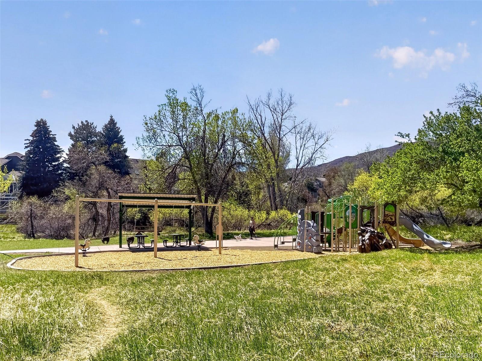 132 Willowleaf Drive Littleton CO 80127