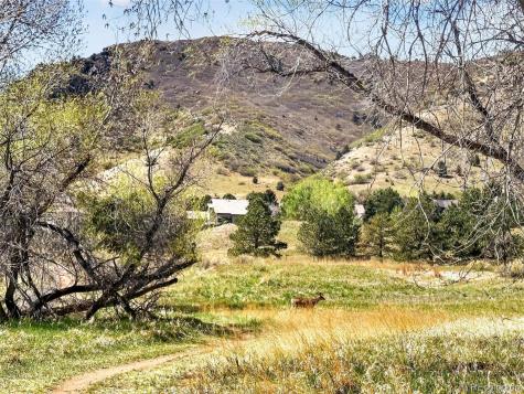 132 Willowleaf Drive Littleton CO 80127