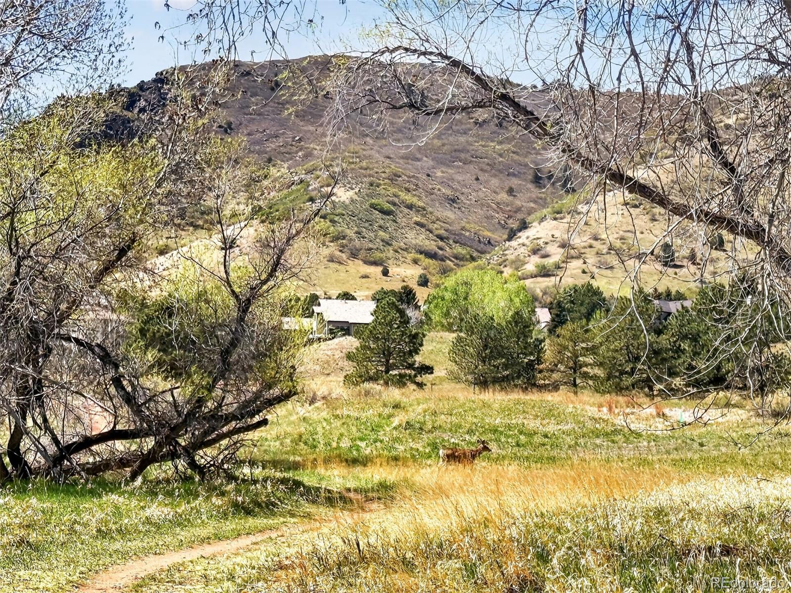 132 Willowleaf Drive Littleton CO 80127