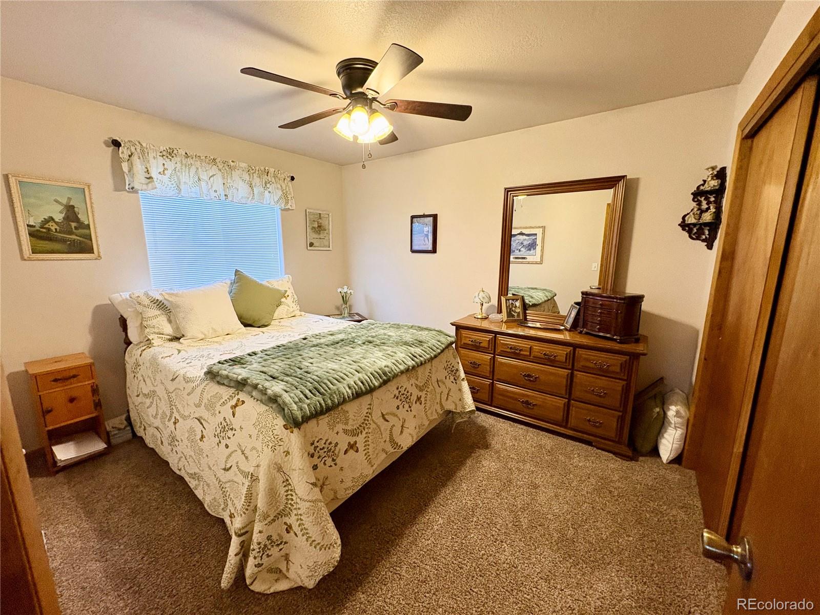 112 Surrey Street Buena Vista CO 81211
