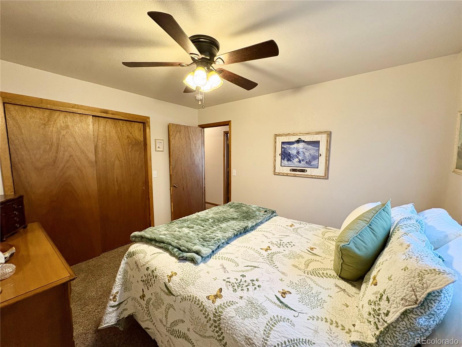 112 Surrey Street Buena Vista CO 81211