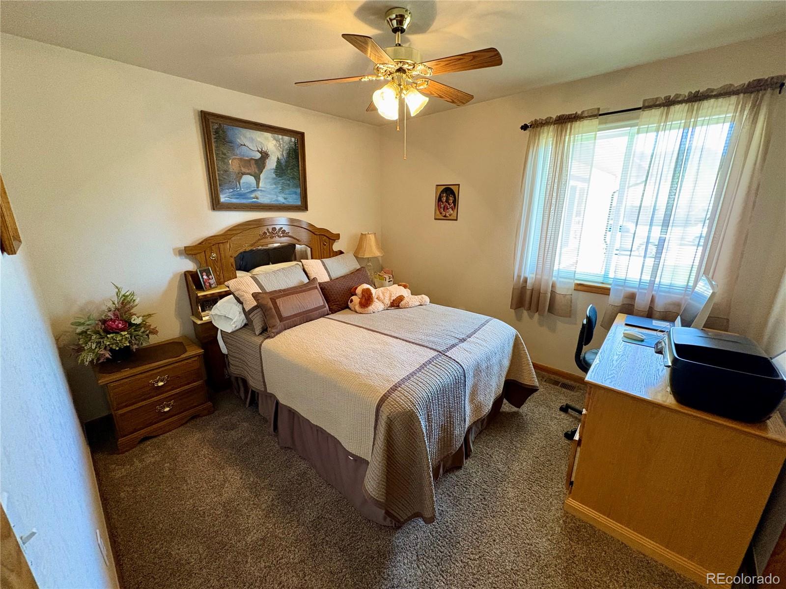 112 Surrey Street Buena Vista CO 81211