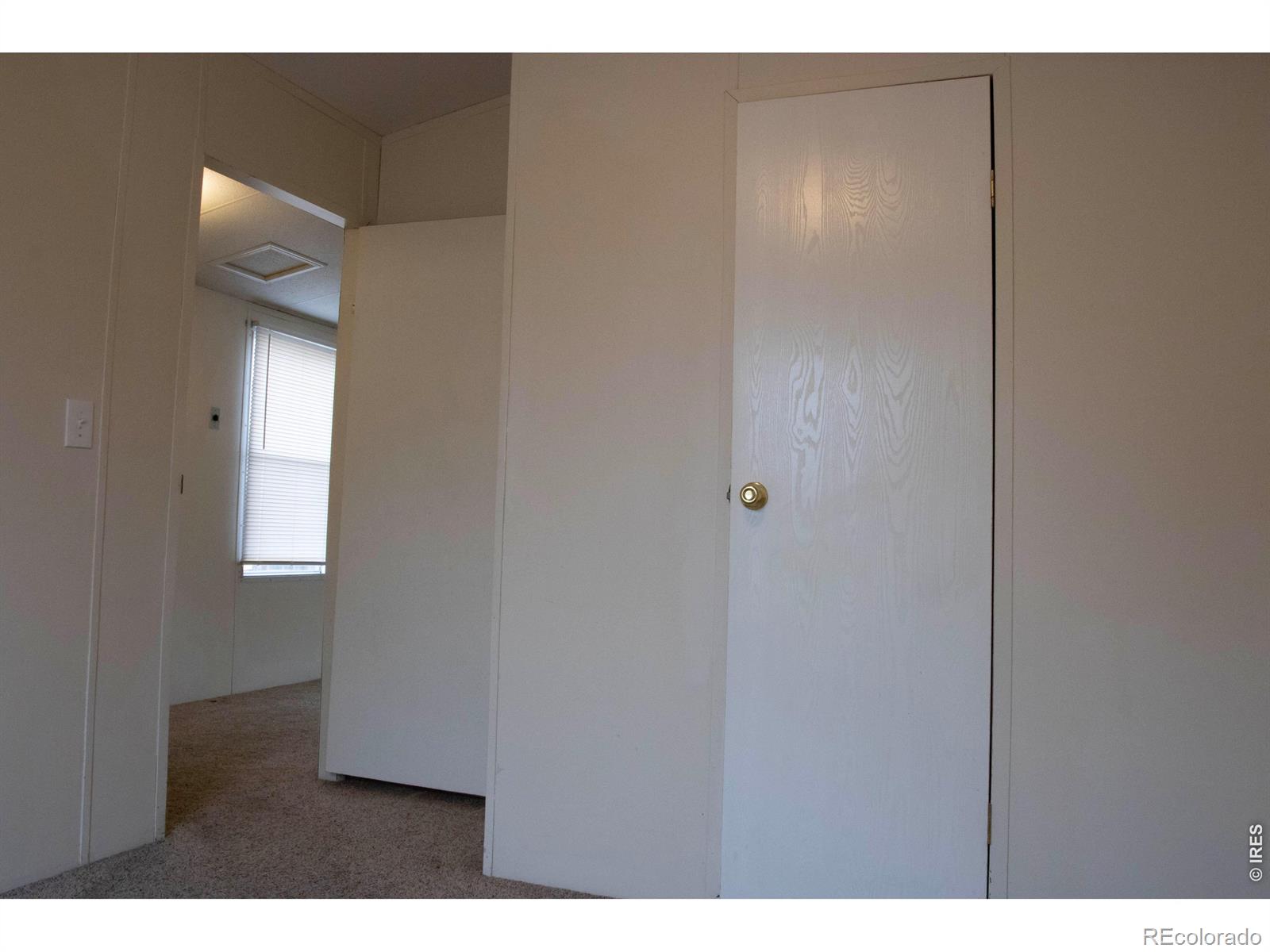 2811 Mango Place Loveland CO 80537