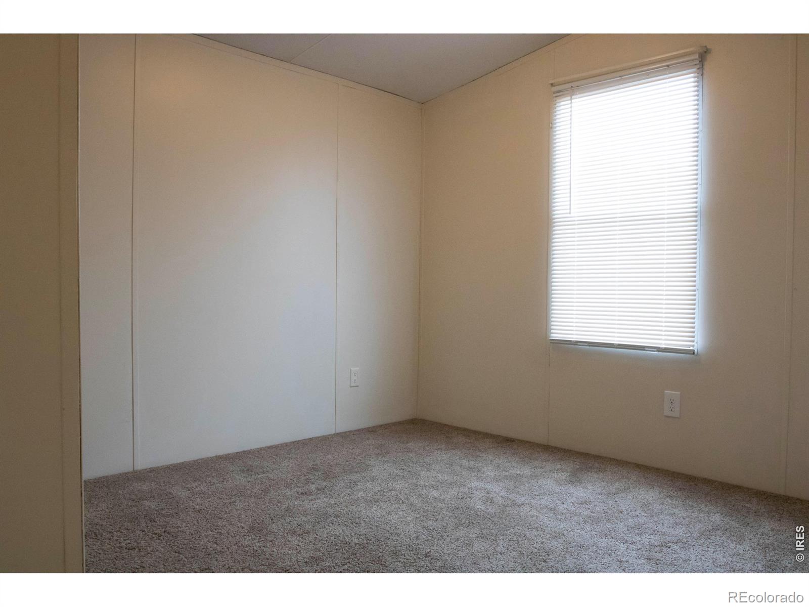 2811 Mango Place Loveland CO 80537