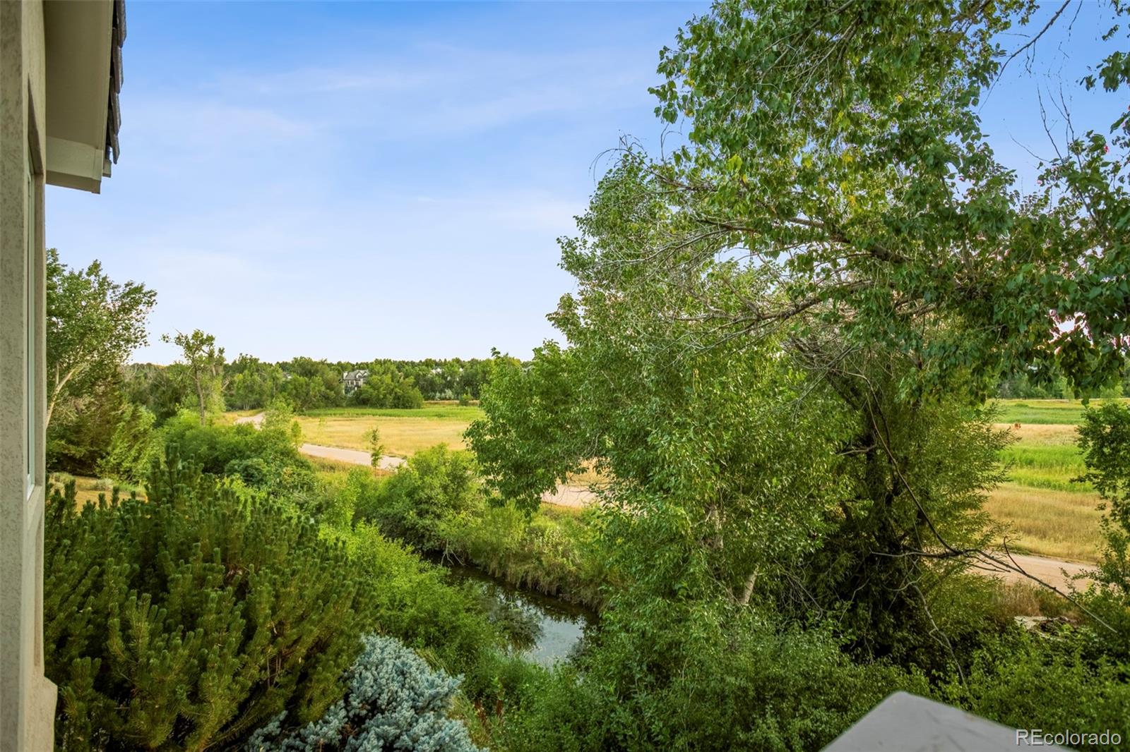 24 Blue Heron Drive Littleton CO 80121