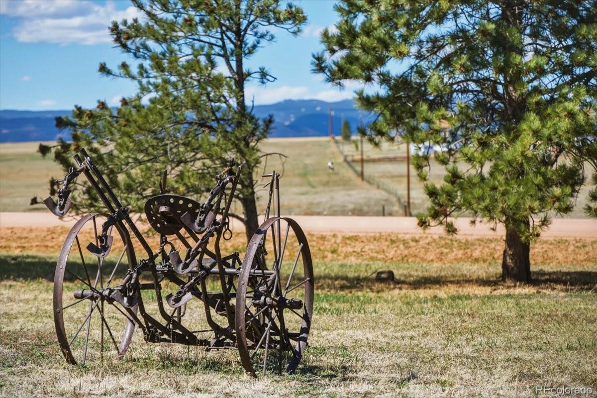 12720 Mesa View Road Larkspur CO 80118