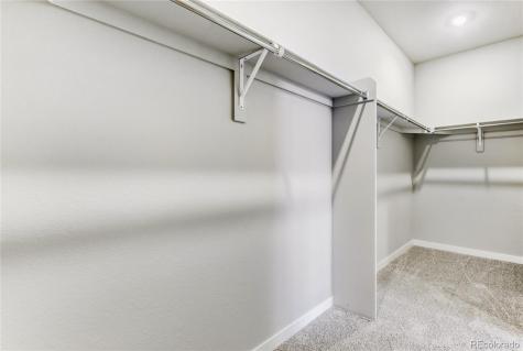 13349 Finnhorse Street Parker CO 80134