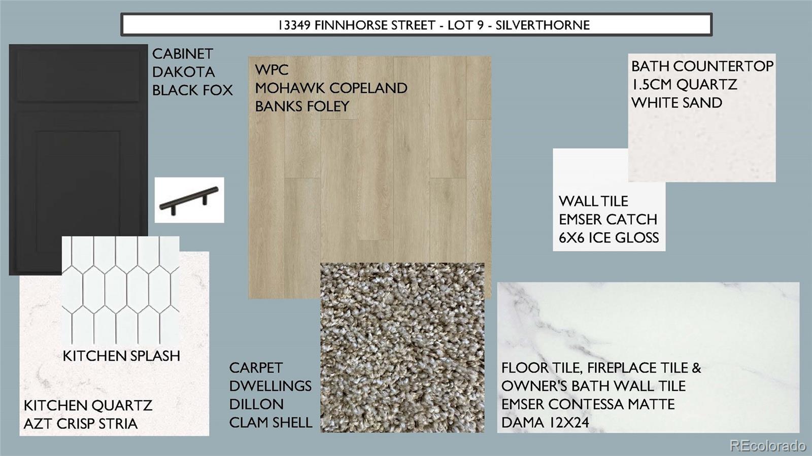 13349 Finnhorse Street Parker CO 80134
