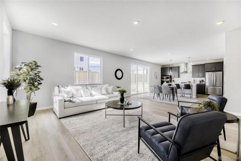 13349 Finnhorse Street Parker CO 80134