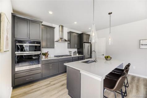 13349 Finnhorse Street Parker CO 80134