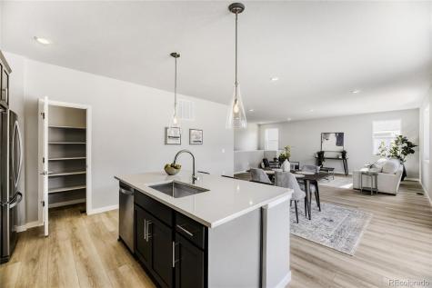 13349 Finnhorse Street Parker CO 80134