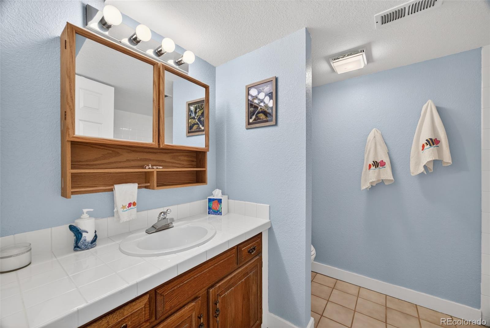 10232 Mica Way Parker CO 80134