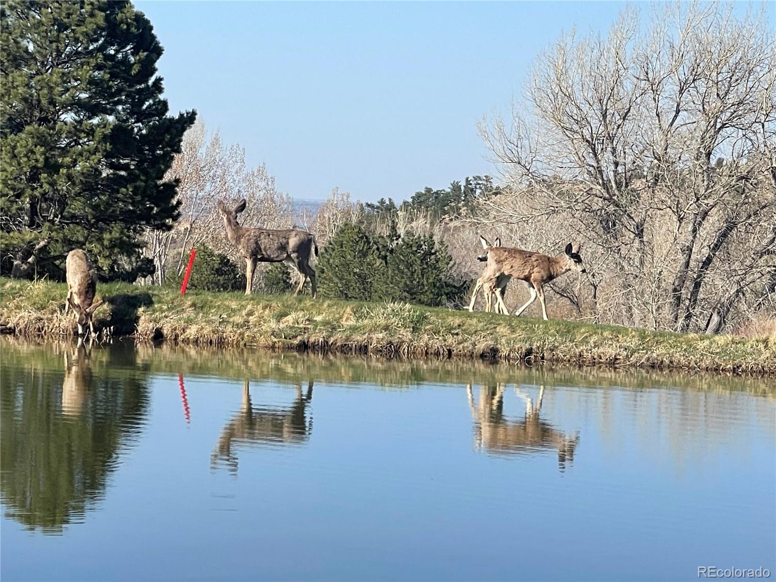 6405 Eagle Feather Trail Littleton CO 80125