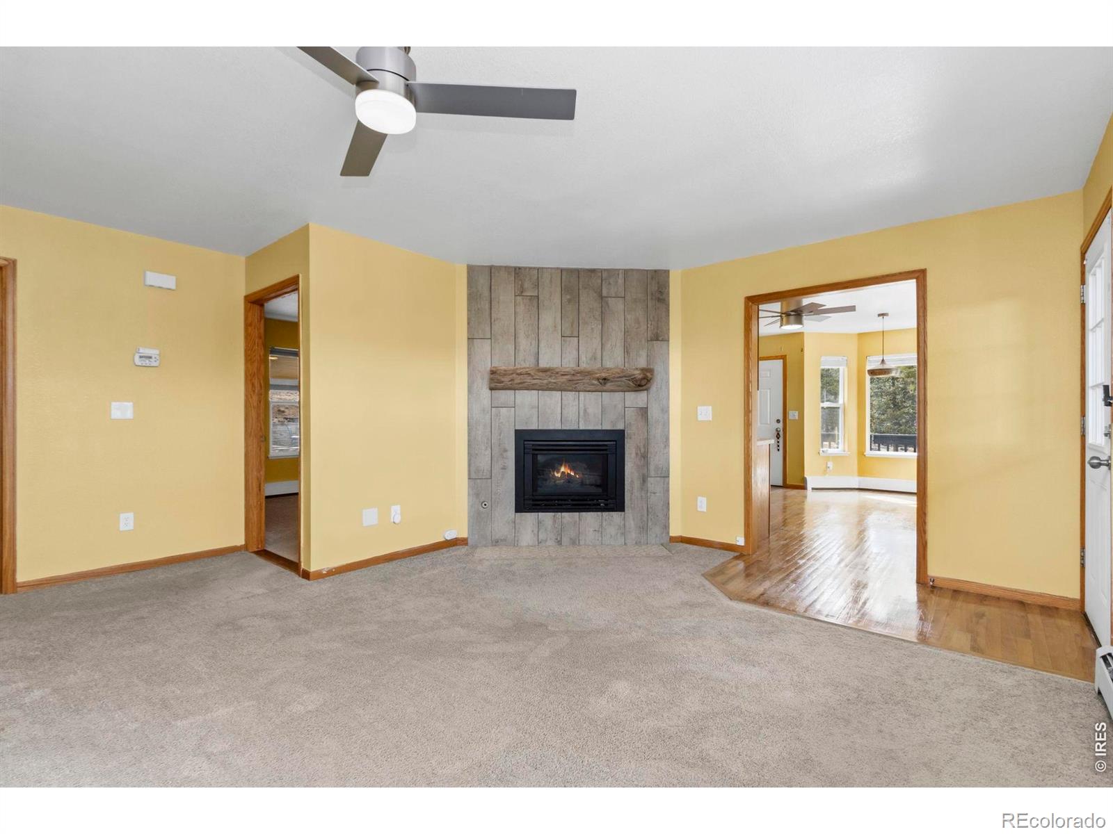 419 Ute Peak Drive Livermore CO 80536