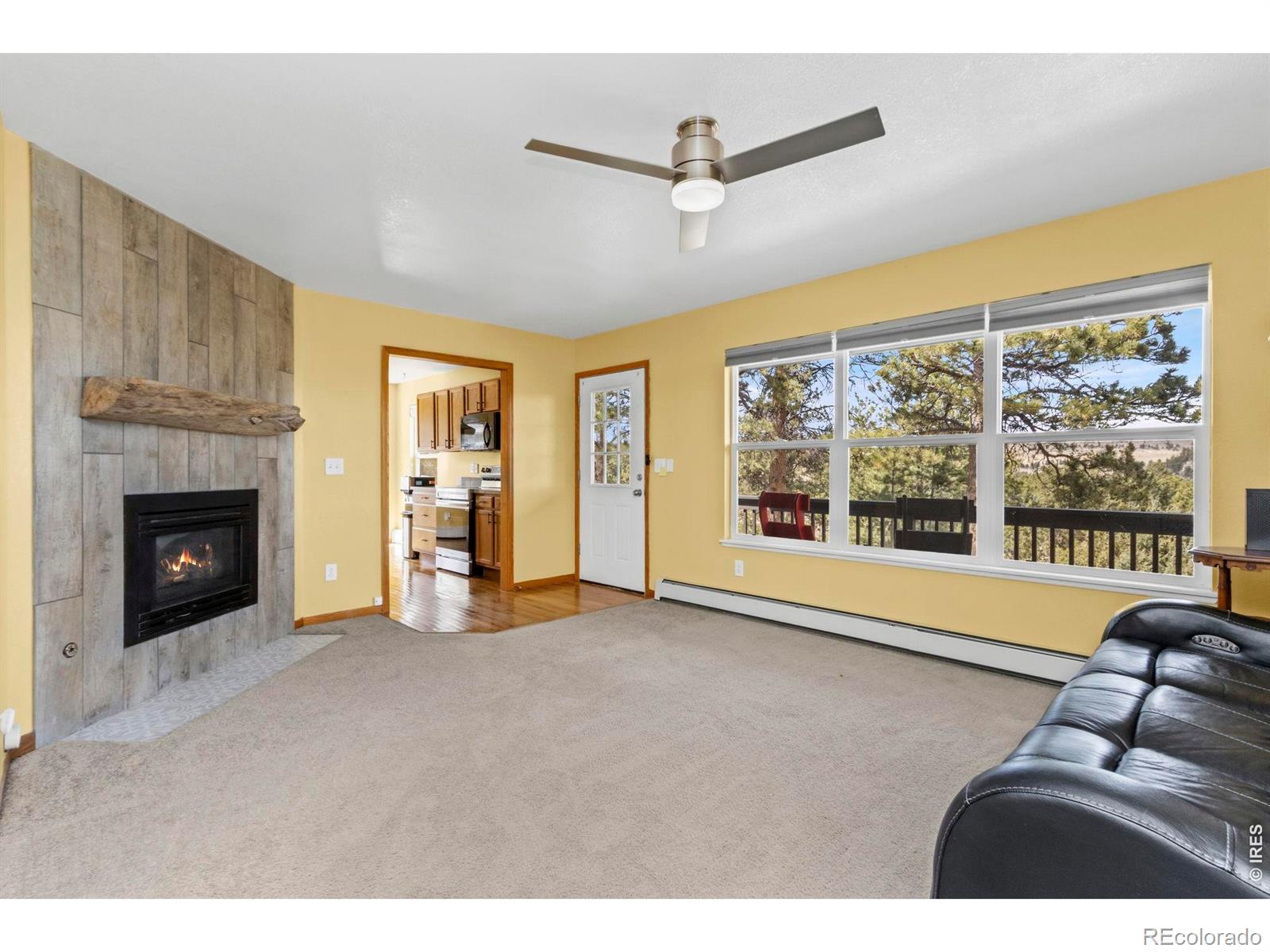 419 Ute Peak Drive Livermore CO 80536