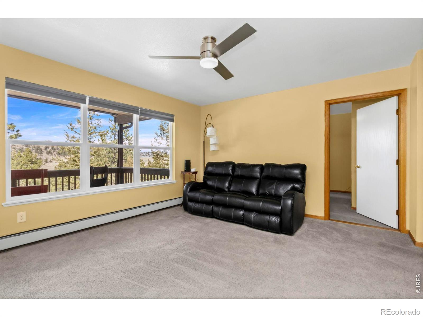 419 Ute Peak Drive Livermore CO 80536
