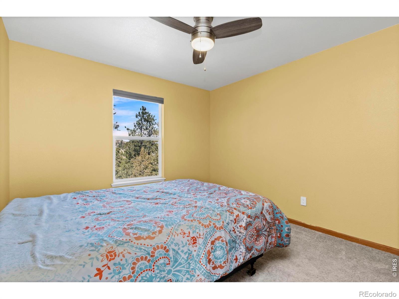 419 Ute Peak Drive Livermore CO 80536