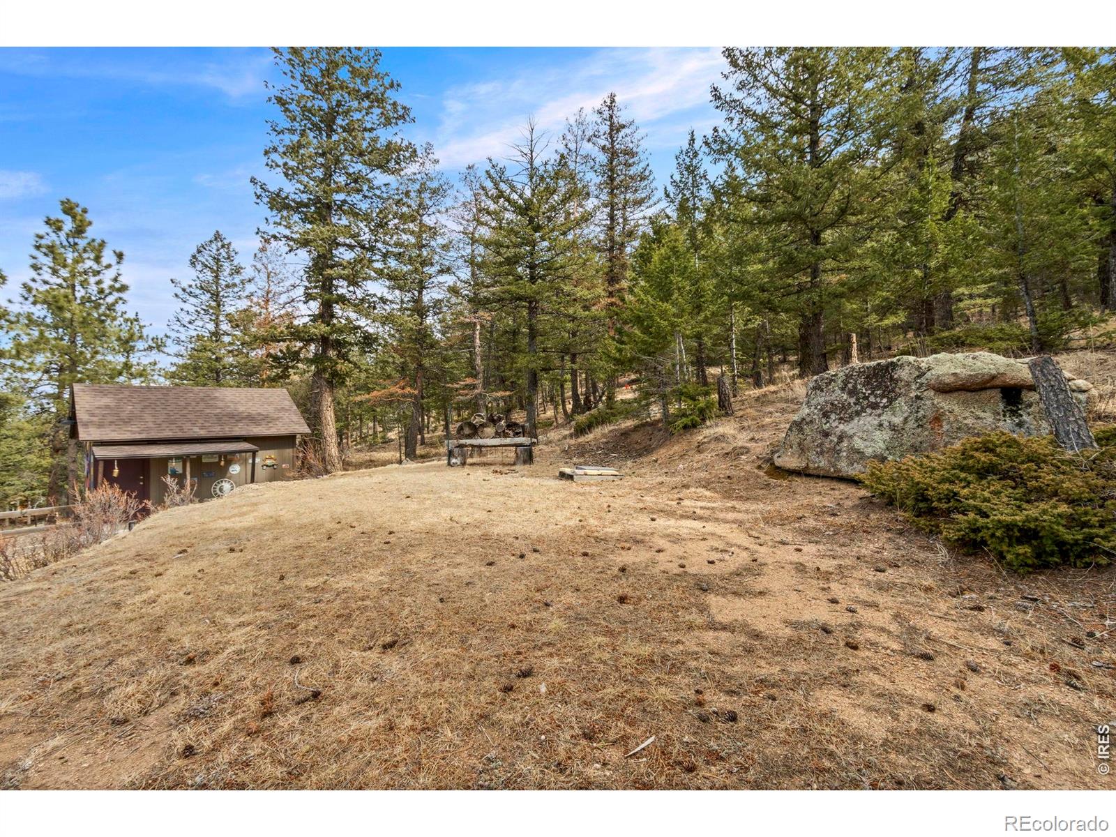 419 Ute Peak Drive Livermore CO 80536