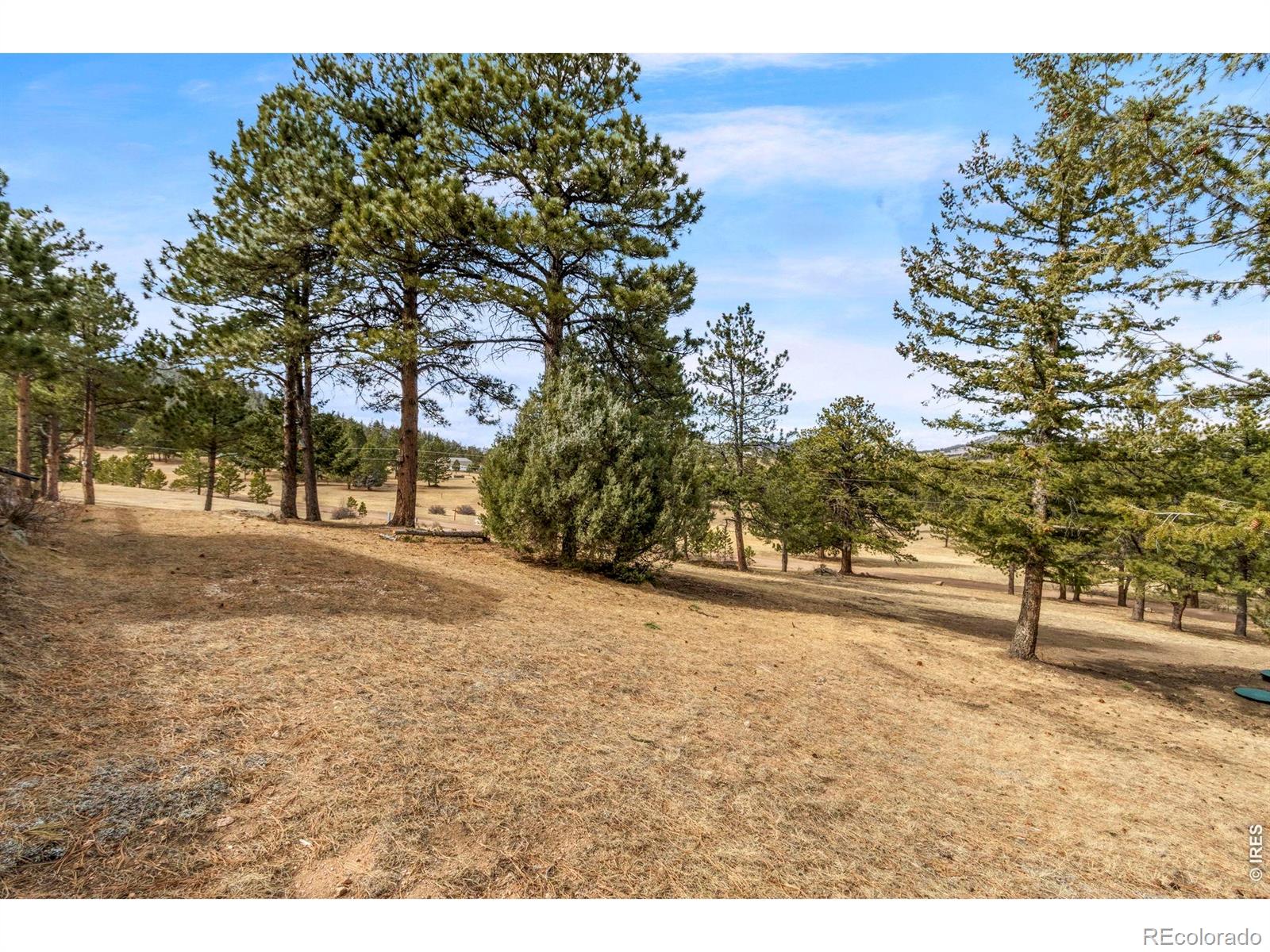 419 Ute Peak Drive Livermore CO 80536