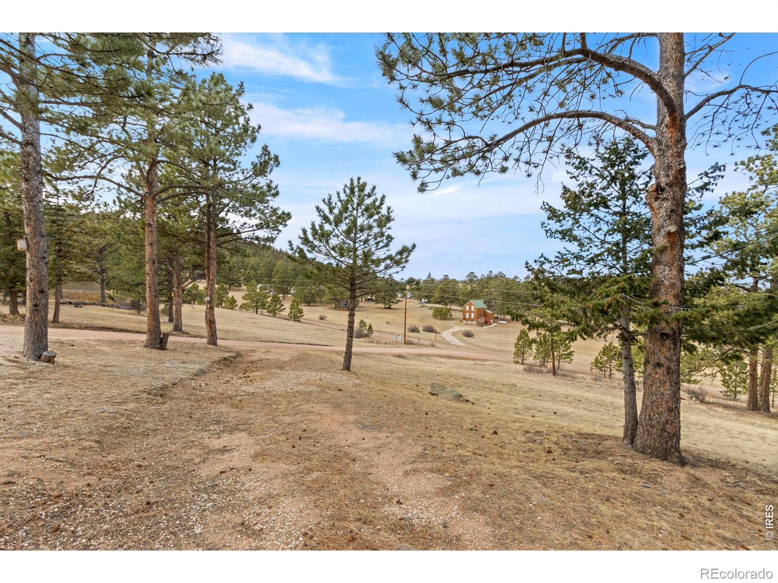 419 Ute Peak Drive Livermore CO 80536