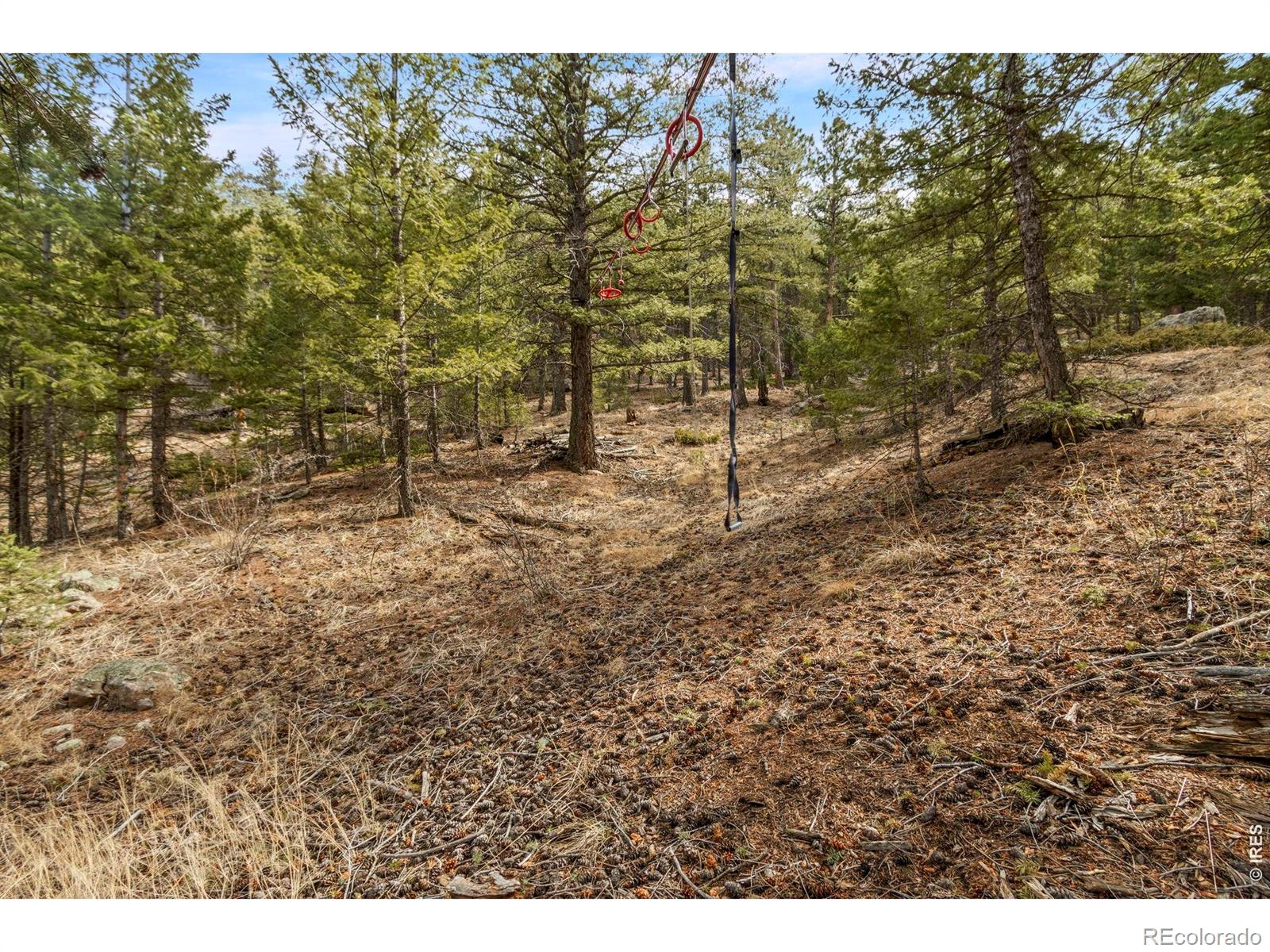 419 Ute Peak Drive Livermore CO 80536