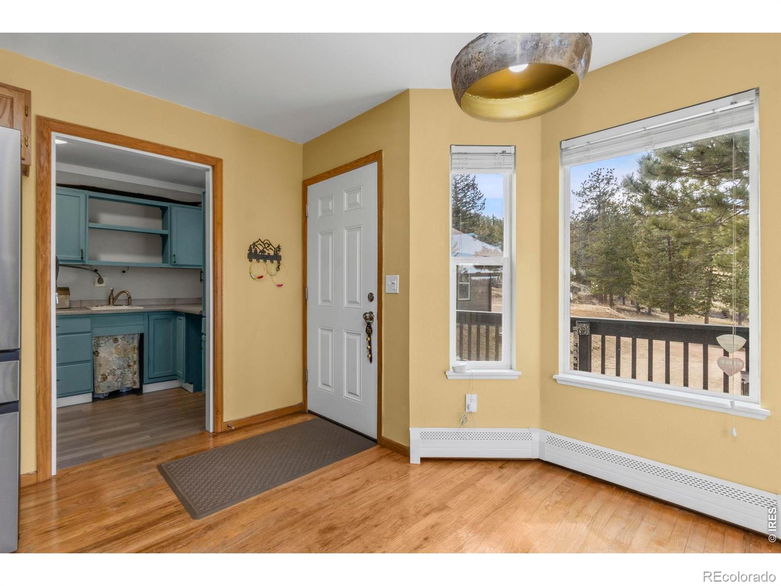 419 Ute Peak Drive Livermore CO 80536