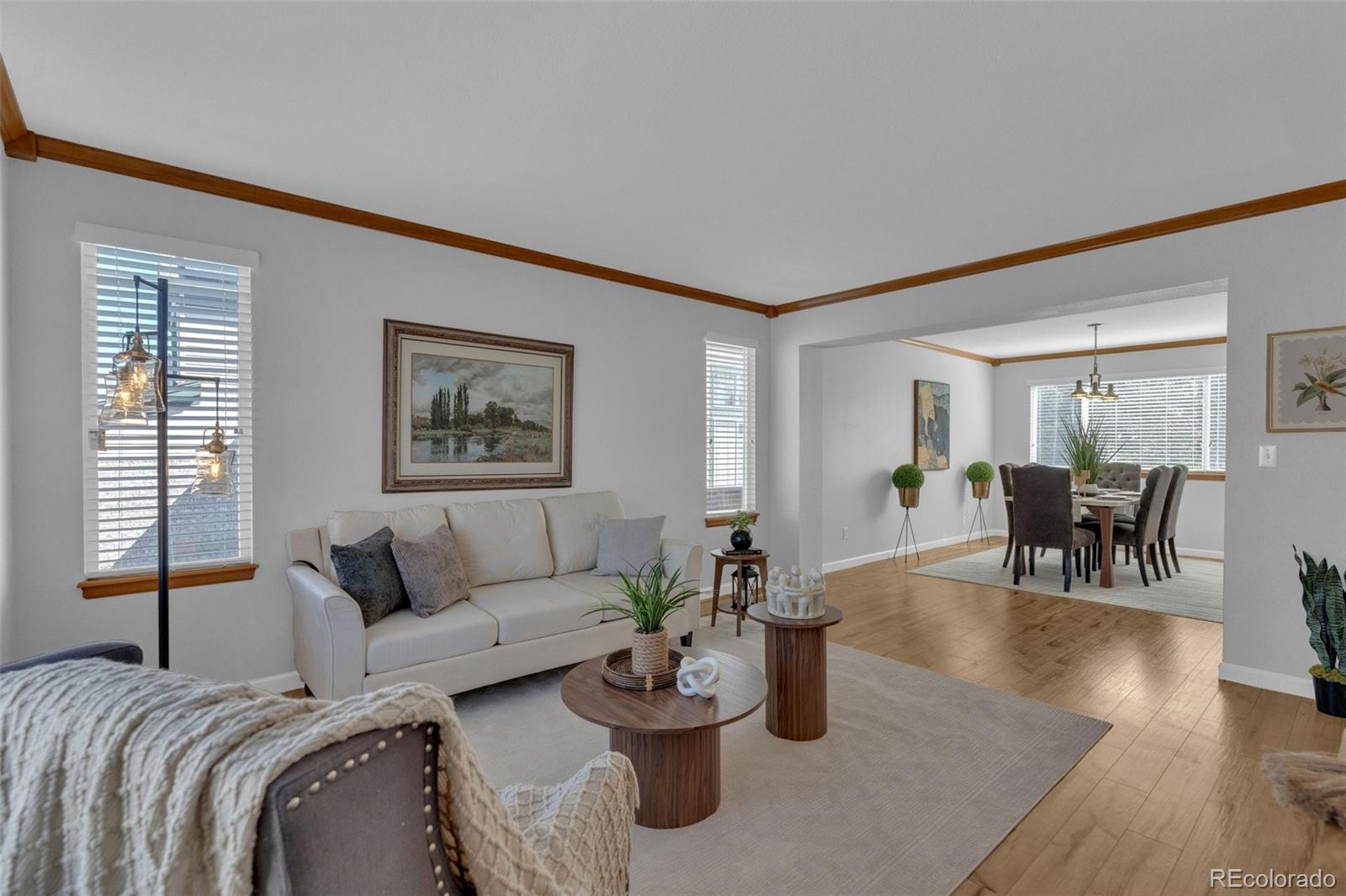 9246 Madras Court Highlands Ranch CO 80130