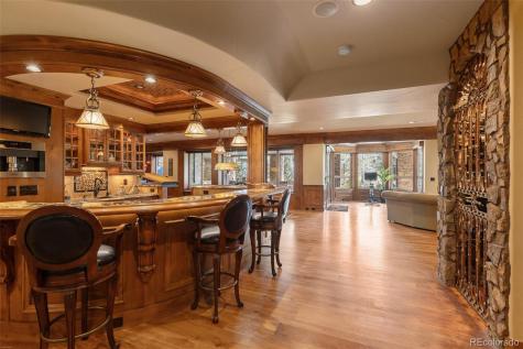 9359 Hidden Pines Court Parker CO 80134