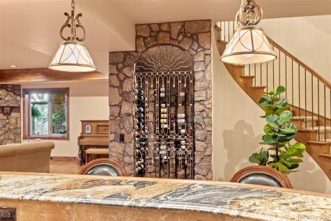 9359 Hidden Pines Court Parker CO 80134