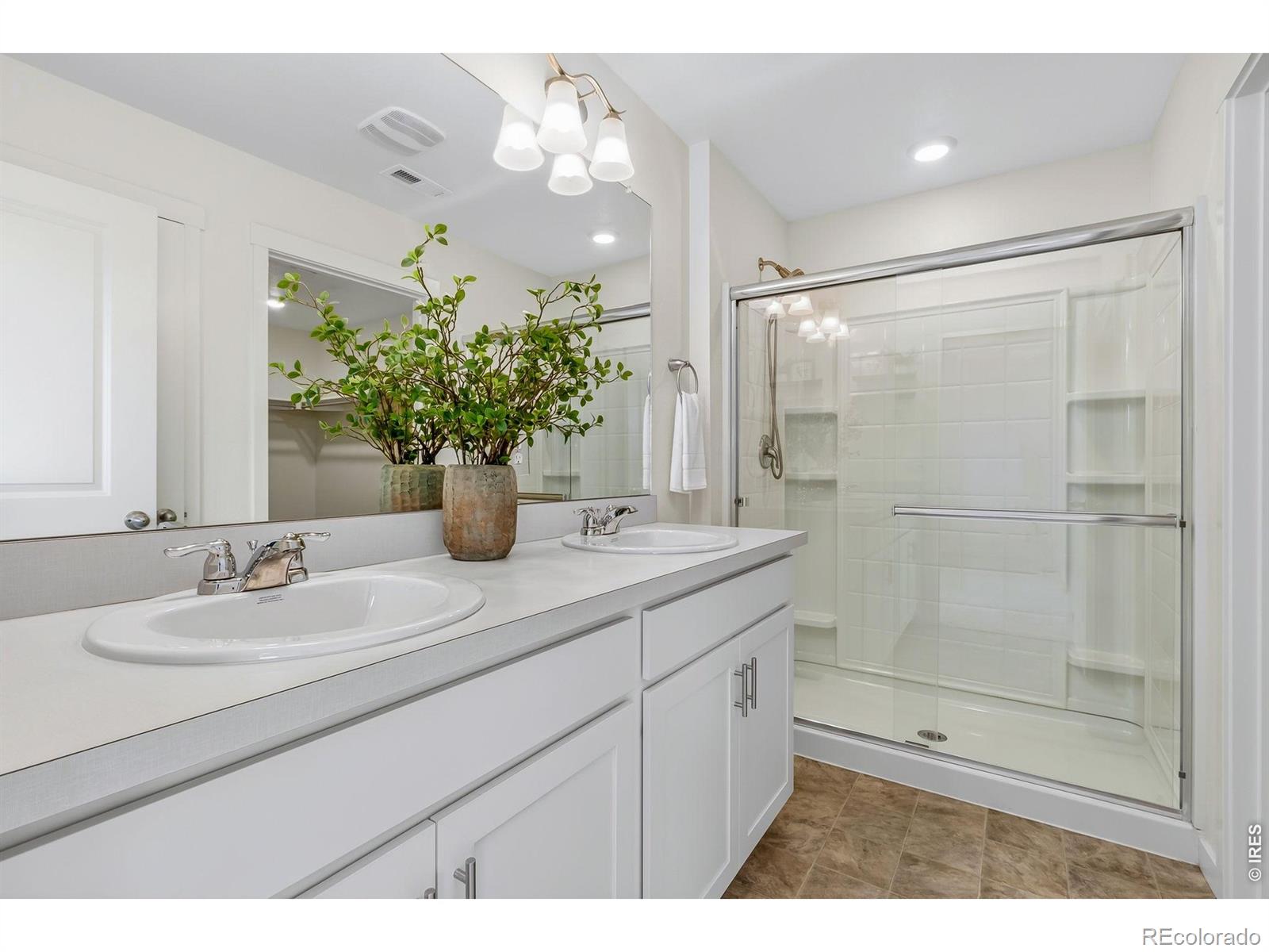 3759 Catmint Street Wellington CO 80549