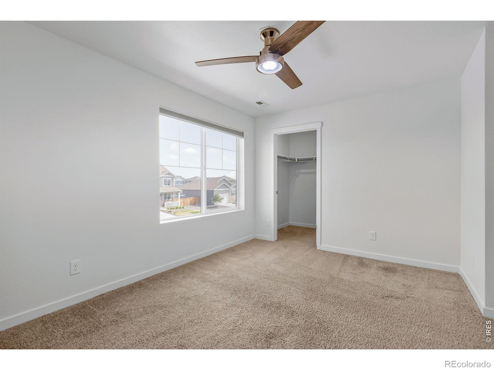 3759 Catmint Street Wellington CO 80549