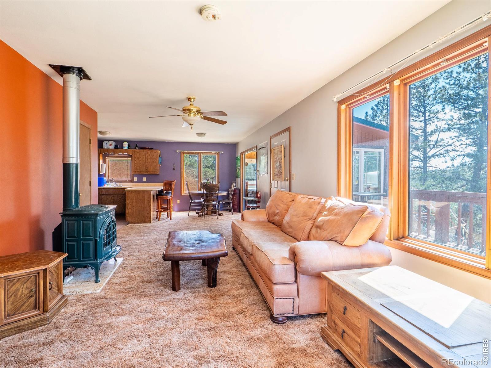 263 Badger Court Drake CO 80515