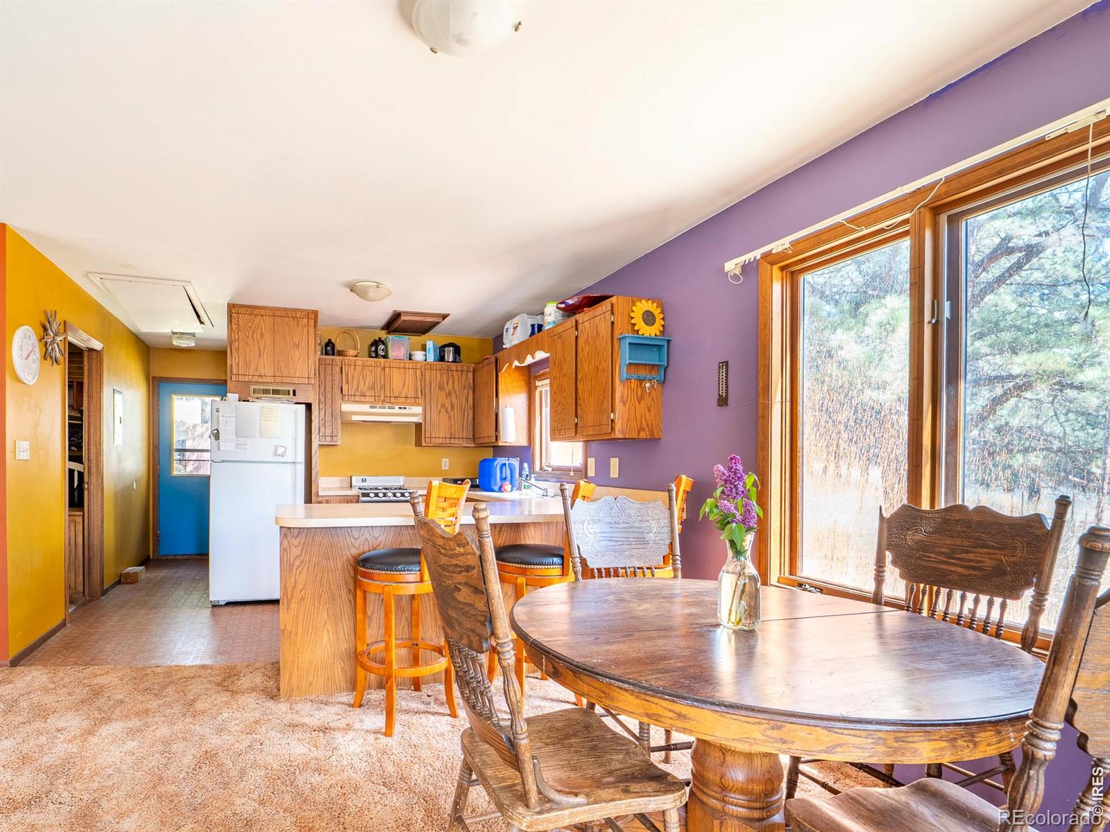 263 Badger Court Drake CO 80515