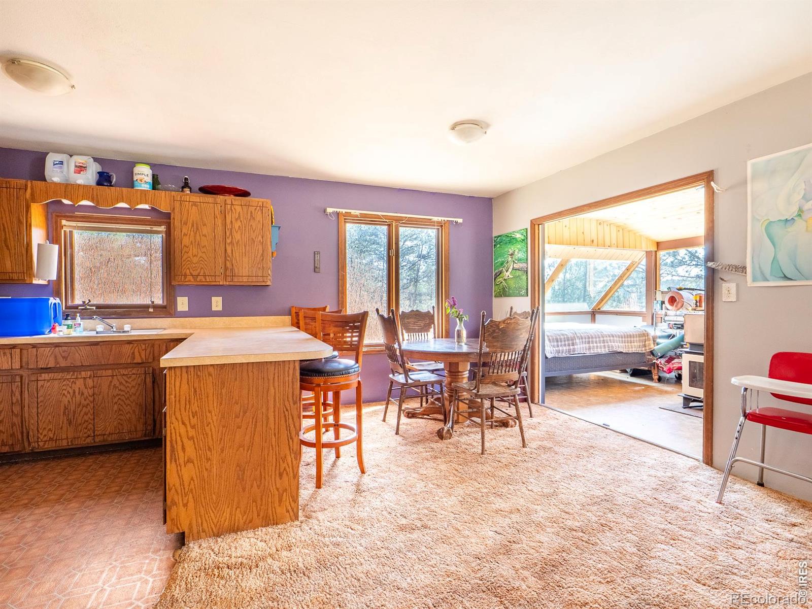 263 Badger Court Drake CO 80515