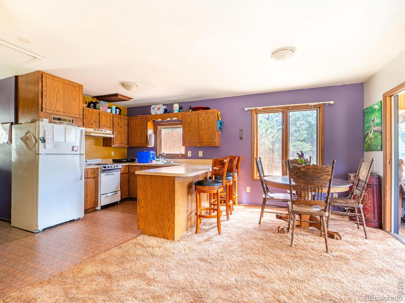 263 Badger Court Drake CO 80515