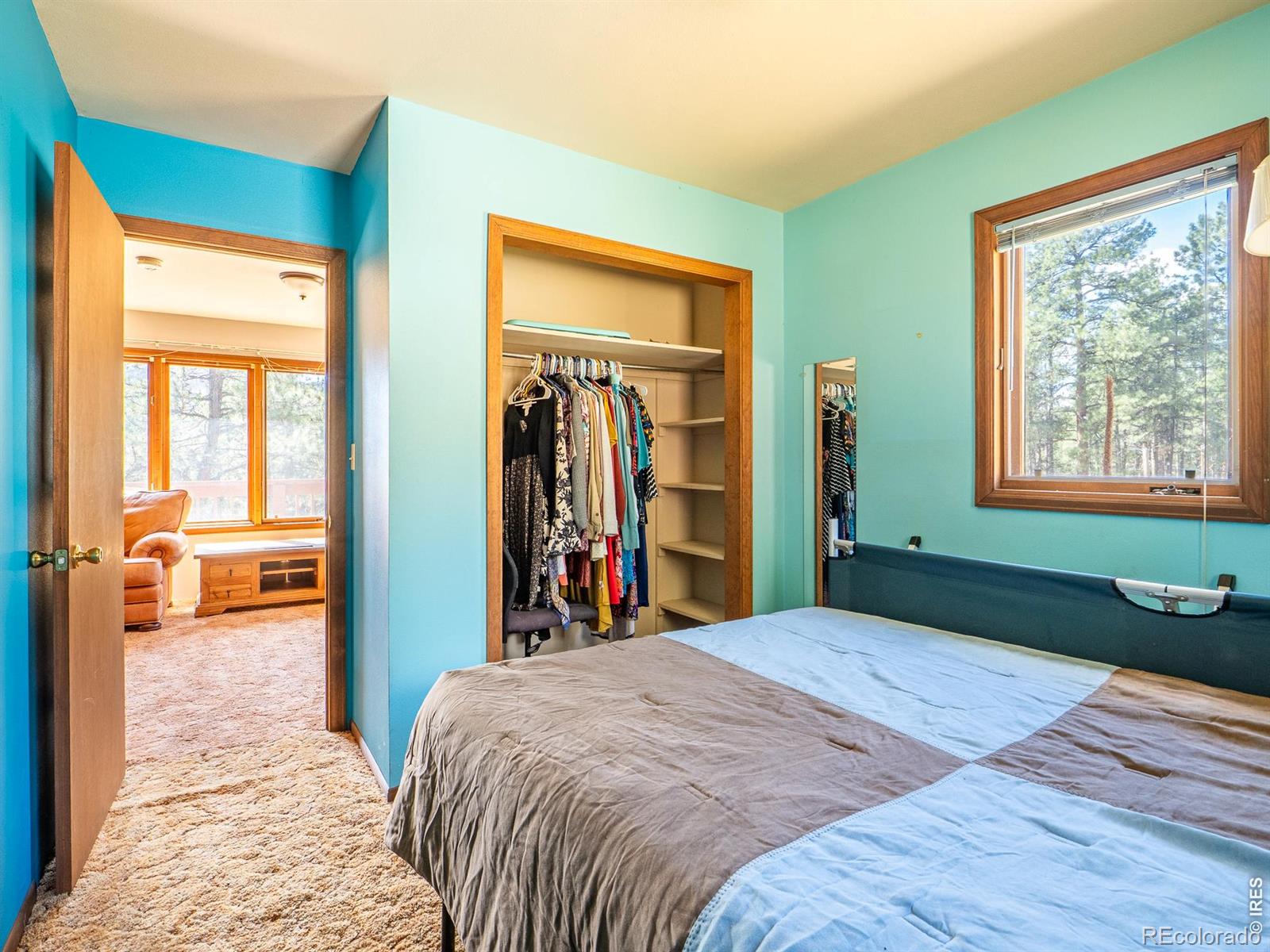263 Badger Court Drake CO 80515
