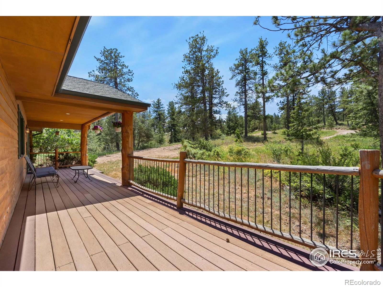 556 Bald Mountain Drive Livermore CO 80536