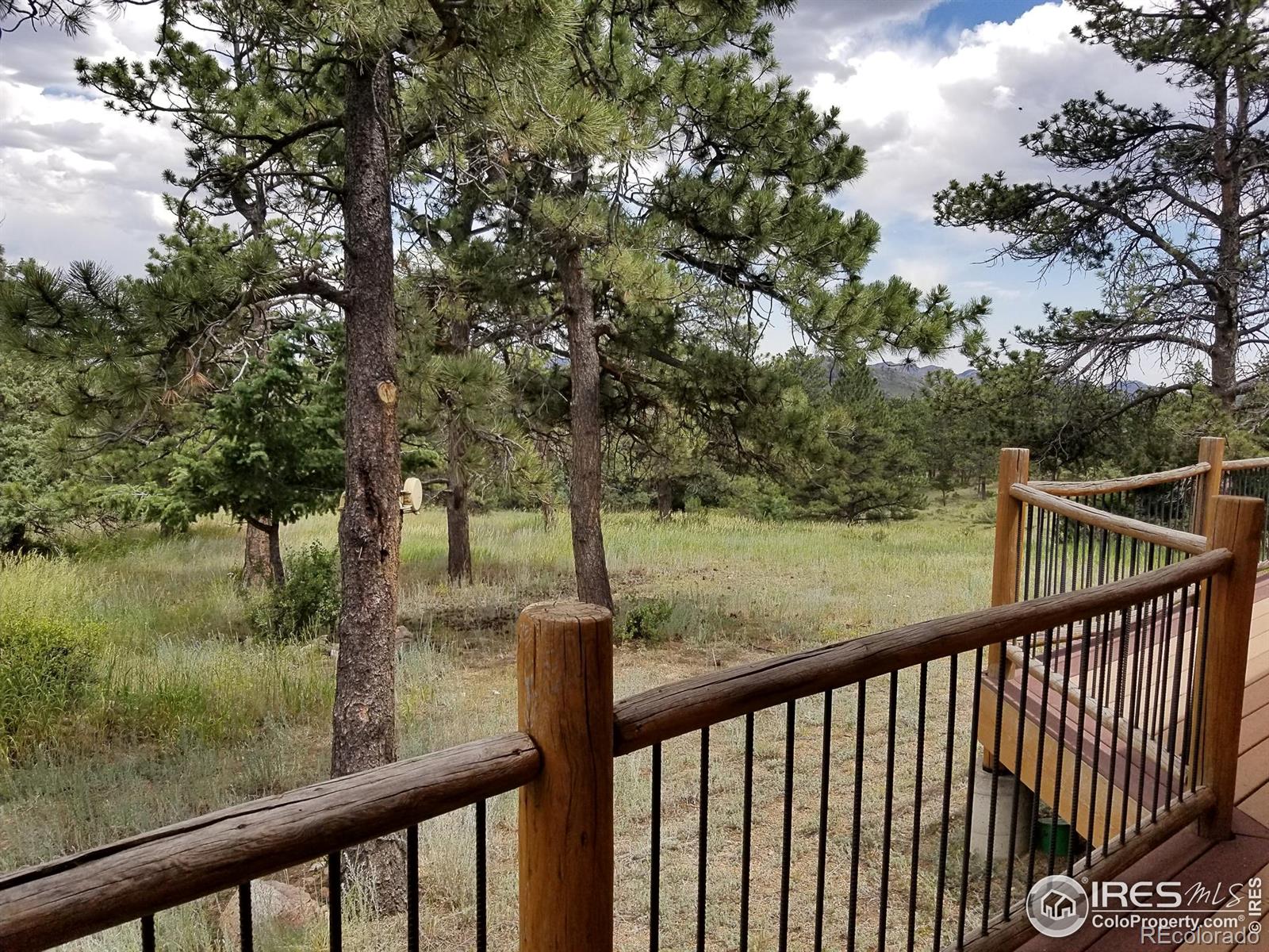 556 Bald Mountain Drive Livermore CO 80536