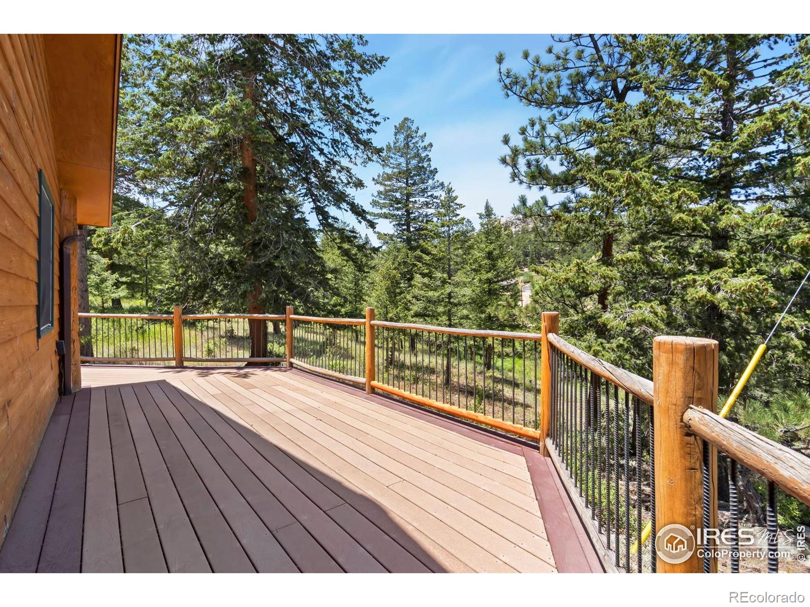 556 Bald Mountain Drive Livermore CO 80536