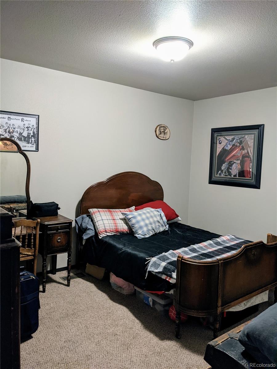 388 Sequoia Drive Twin Lakes CO 81251