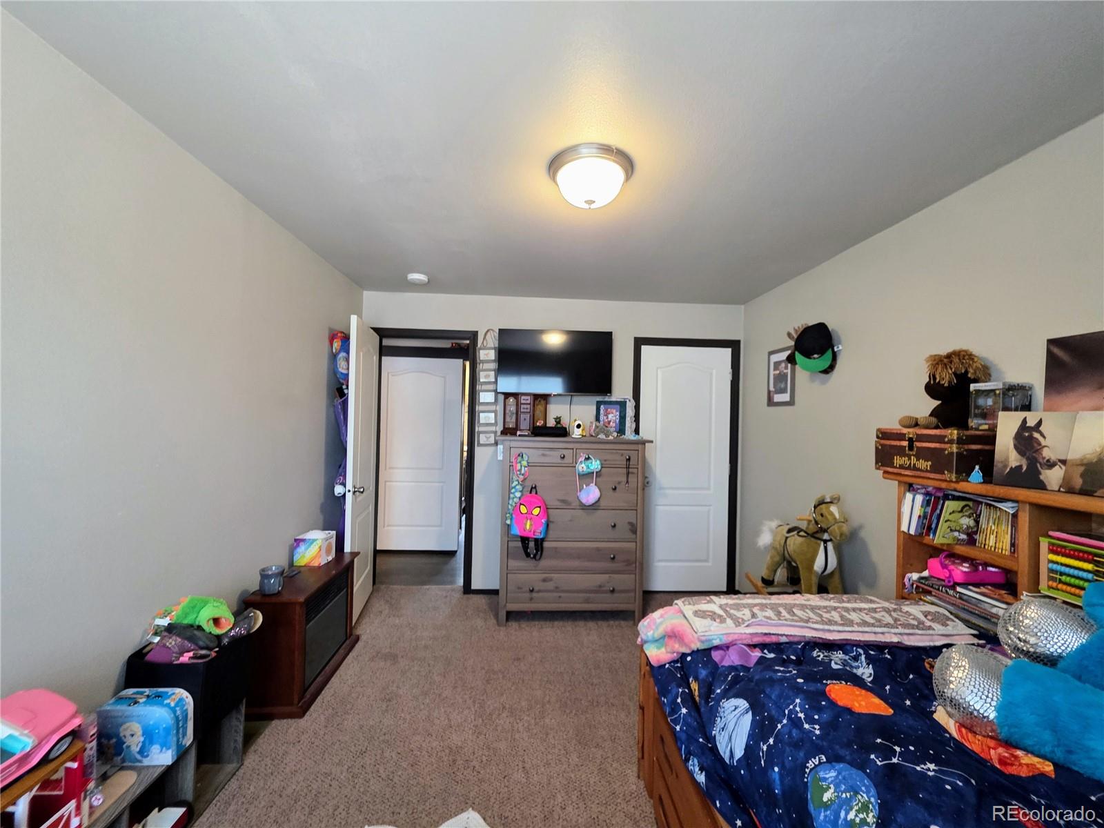 388 Sequoia Drive Twin Lakes CO 81251