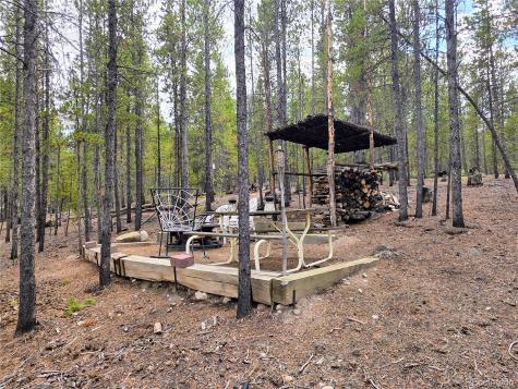 388 Sequoia Drive Twin Lakes CO 81251