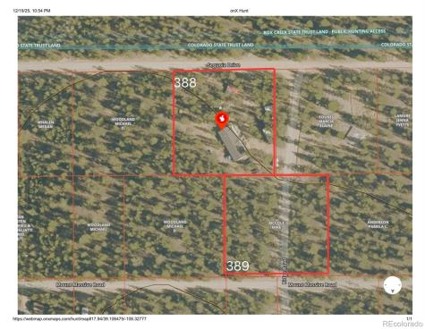 388 Sequoia Drive Twin Lakes CO 81251
