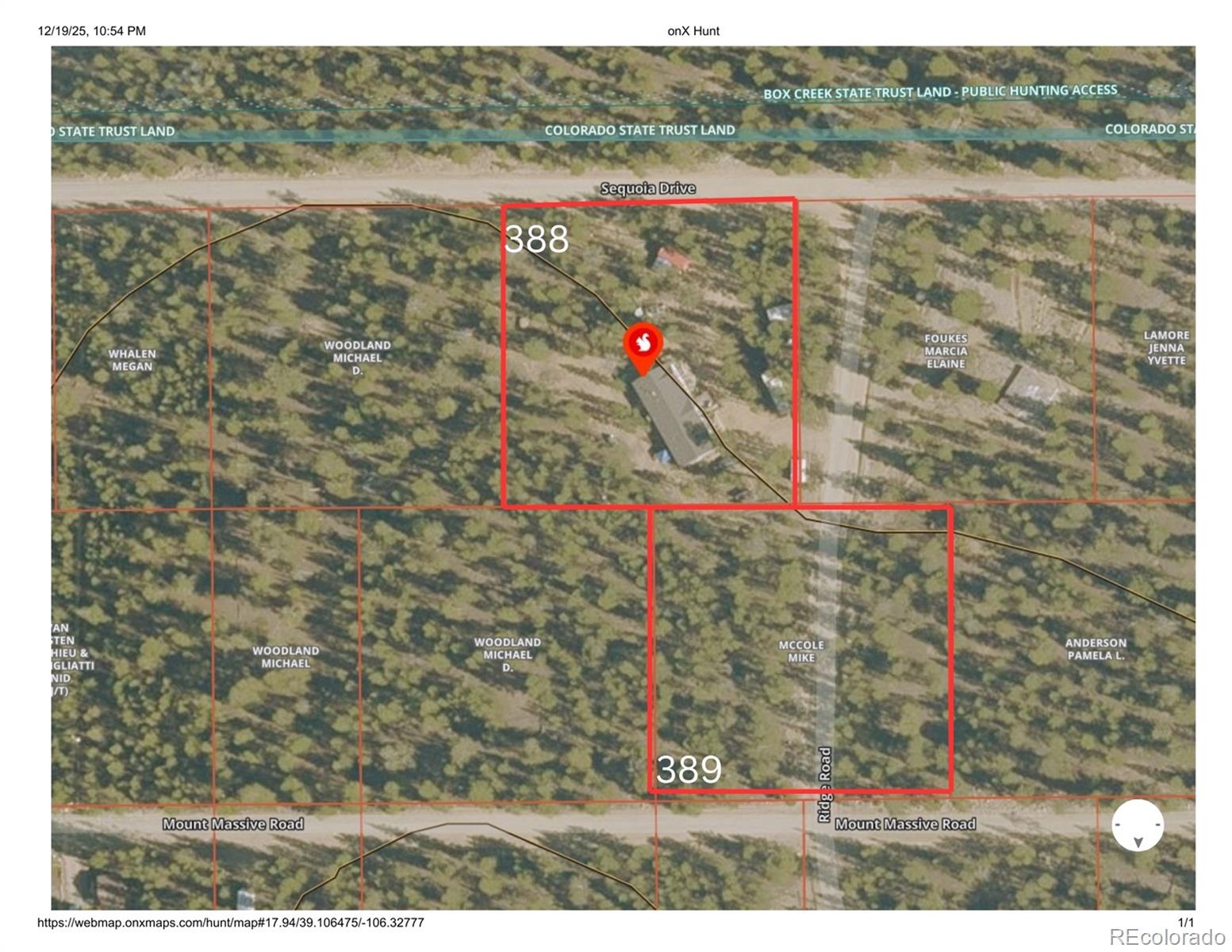 388 Sequoia Drive Twin Lakes CO 81251
