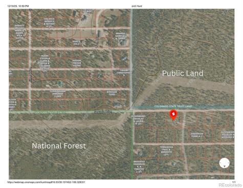 388 Sequoia Drive Twin Lakes CO 81251