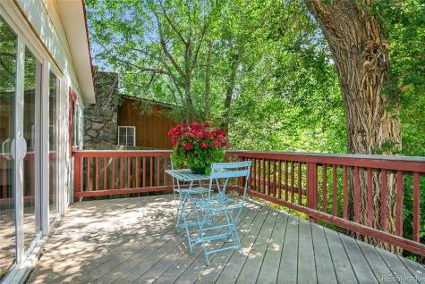 21938 Miller Lane Idledale CO 80453