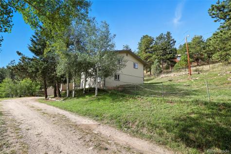 364 Sleepy Hollow Drive Bailey CO 80421